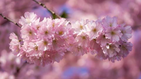 2016-04-10 16-44-19-Bearbeitet -1920px