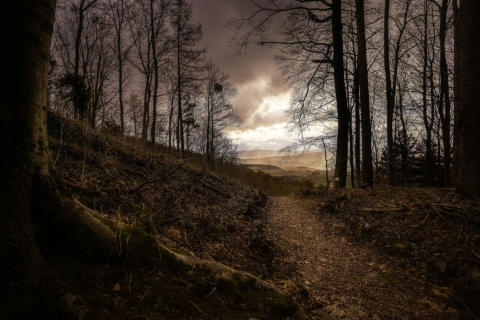 2017-03-05 14-54-37-HDR-Bearbeitet -1920px