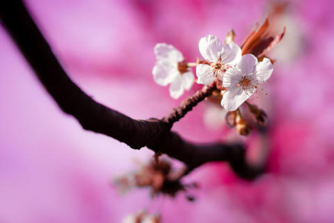 2018-04-15 15-18-22-Bearbeitet -1920px