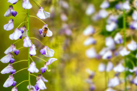 2018-05-12 16-38-20-Bearbeitet -1920px