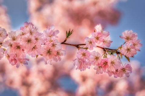 2019-04-06 16-54-32-Bearbeitet HDR -1920px