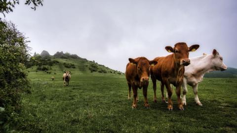 2019-05-21 17-39-15-Bearbeitet -1920px