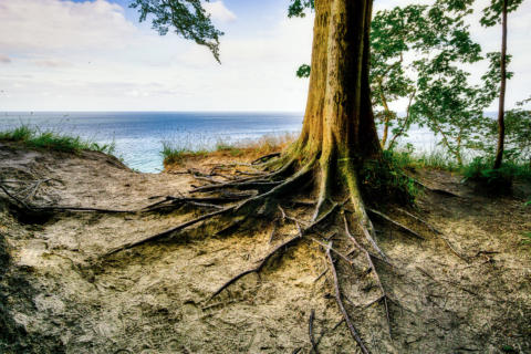 2019-07-07 18-21-19-Bearbeitet-HDR -1920px