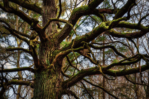 2020-03-21 15-49-39 4232-Bearbeitet -1920px