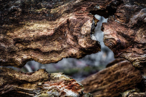 2020-03-21 16-30-02 4277-Bearbeitet -1920px